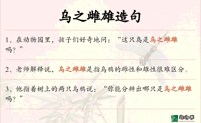 乌之雌雄