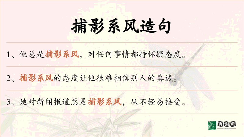 捕影系风
