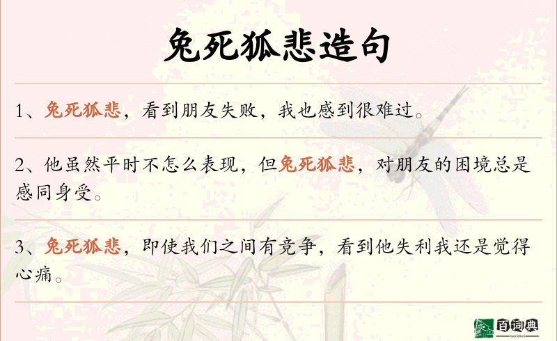 兔死狐悲