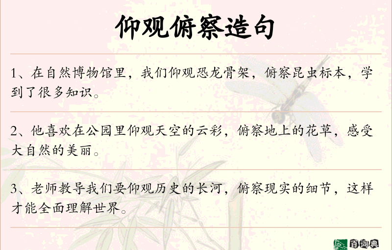 仰观俯察