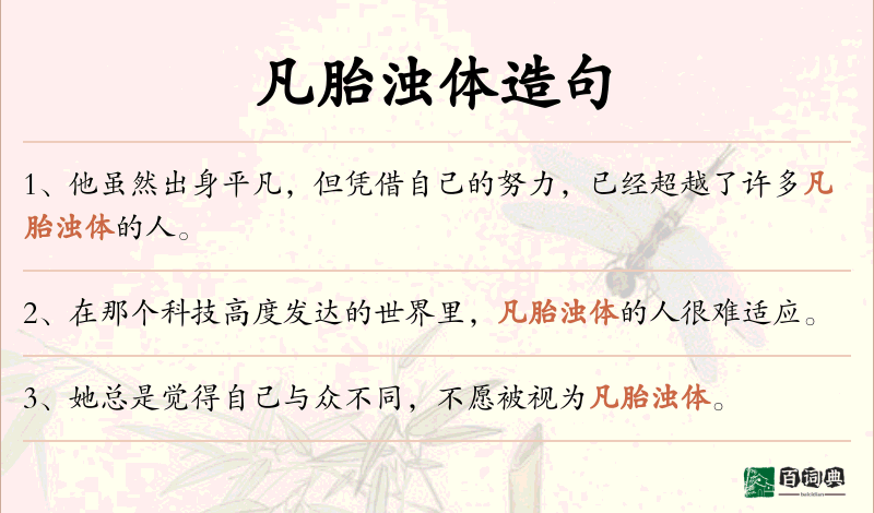 凡胎浊体