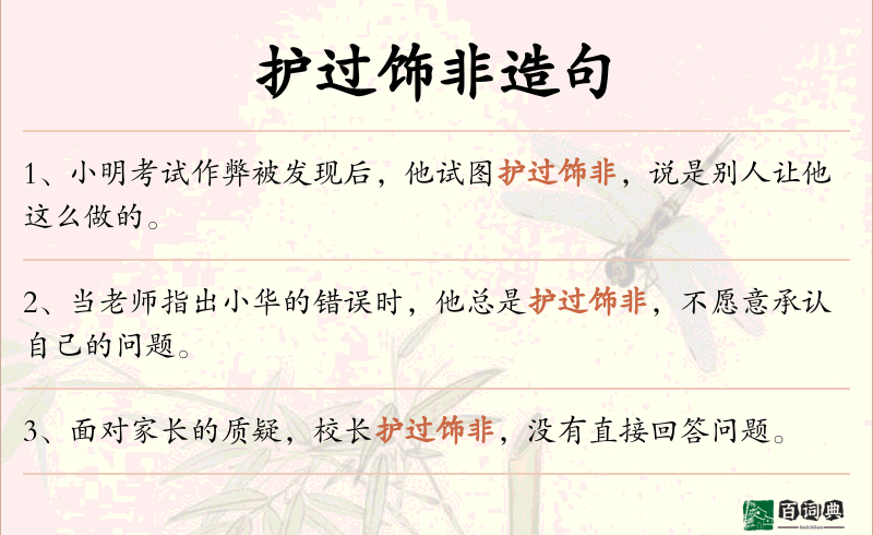 护过饰非