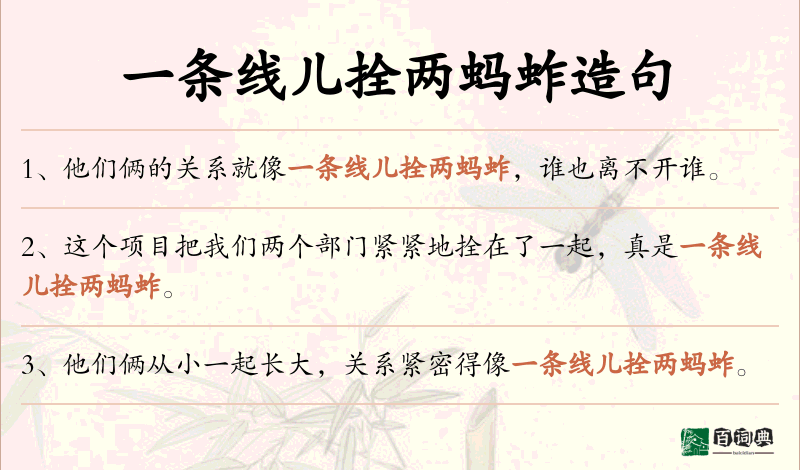 一条线儿拴两蚂蚱