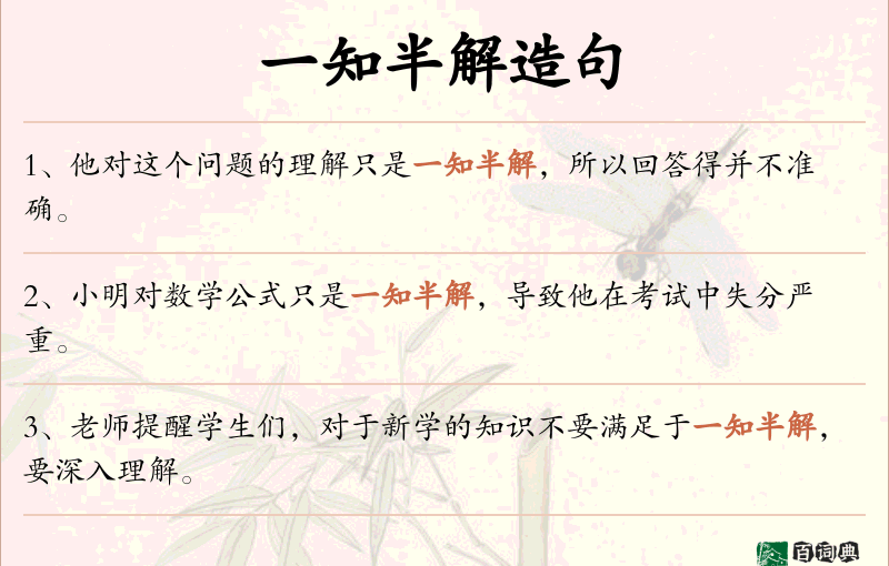 一知半解