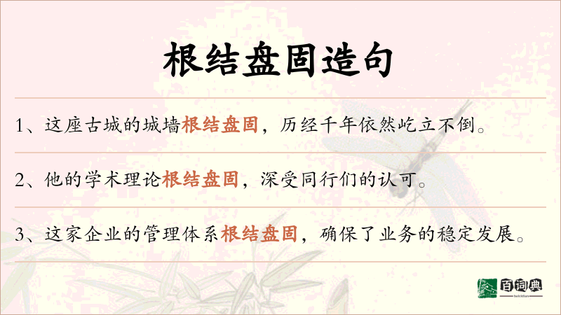 根结盘固