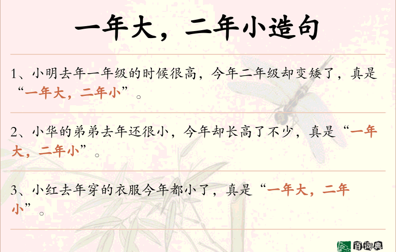 一年大，二年小