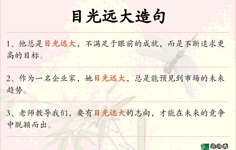 目光远大