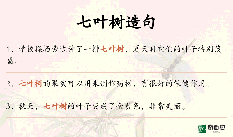 七叶树