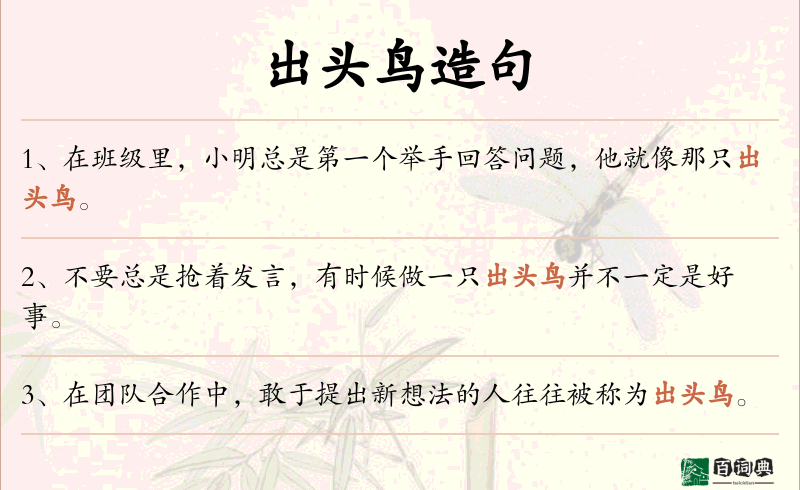 出头鸟