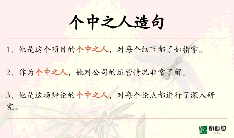 个中之人