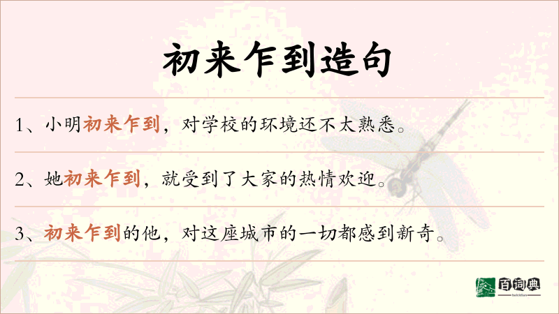 初来乍到