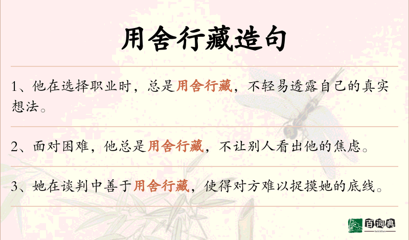 用舍行藏