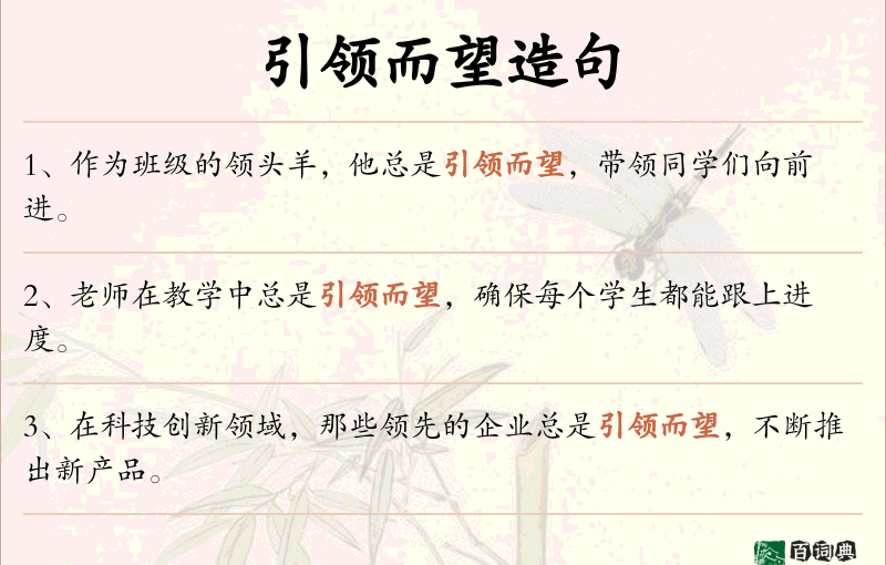 引领而望