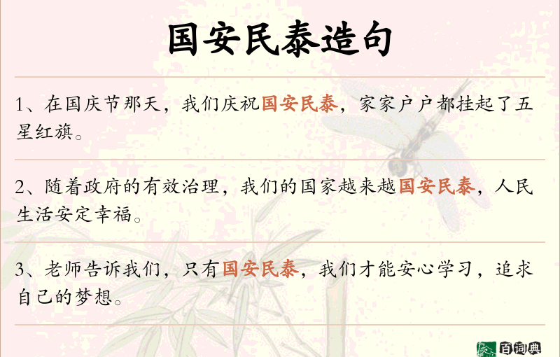 国安民泰