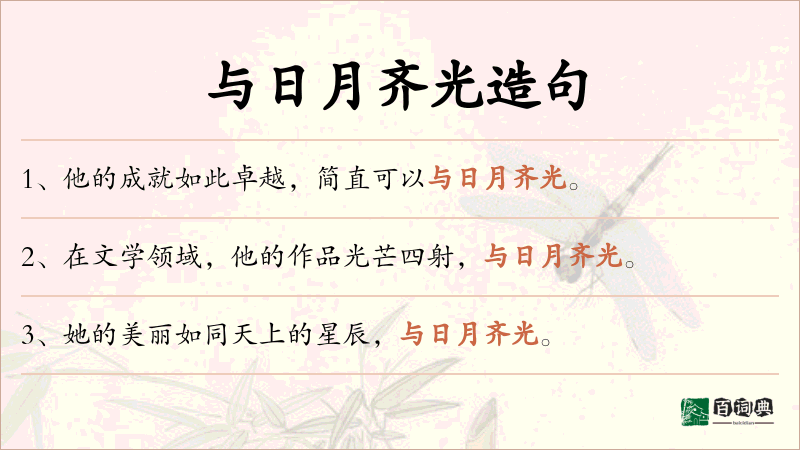 与日月齐光