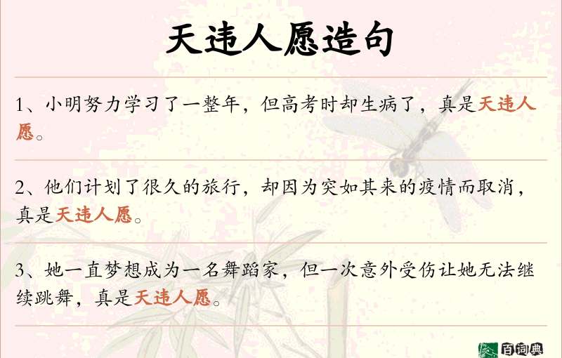 天违人愿