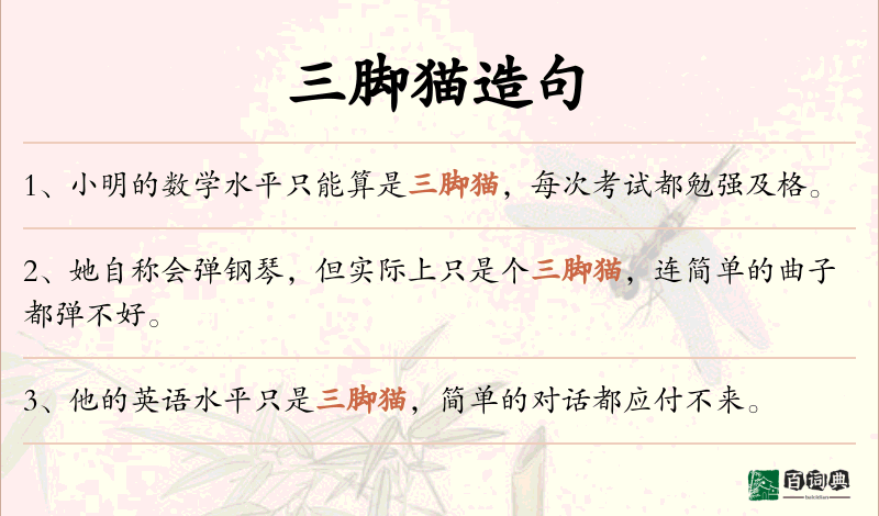 三脚猫
