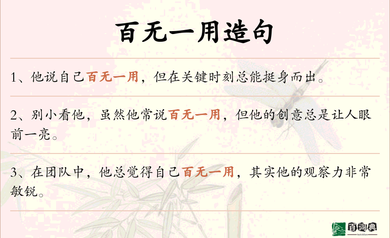百无一用