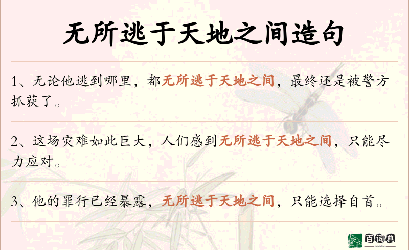 无所逃于天地之间