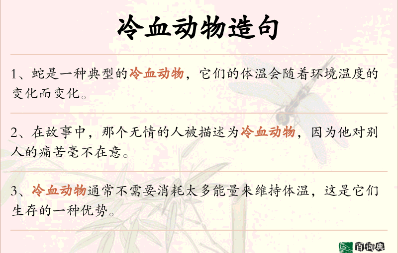 冷血动物