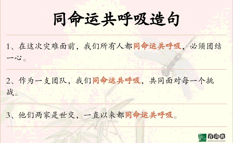 同命运共呼吸