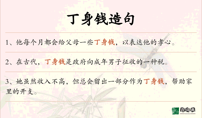 丁身钱