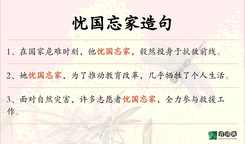 忧国忘家