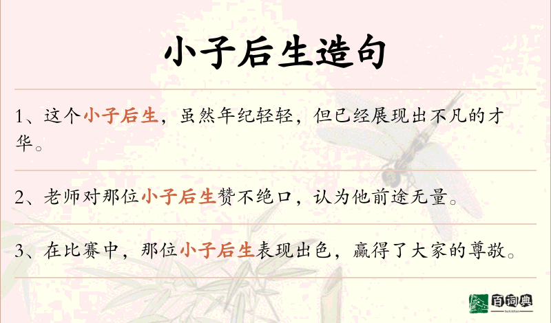 小子后生