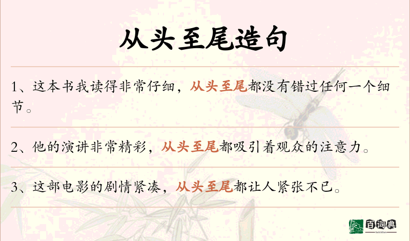 从头至尾
