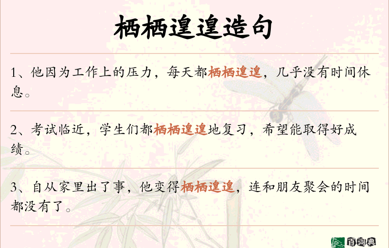 栖栖遑遑