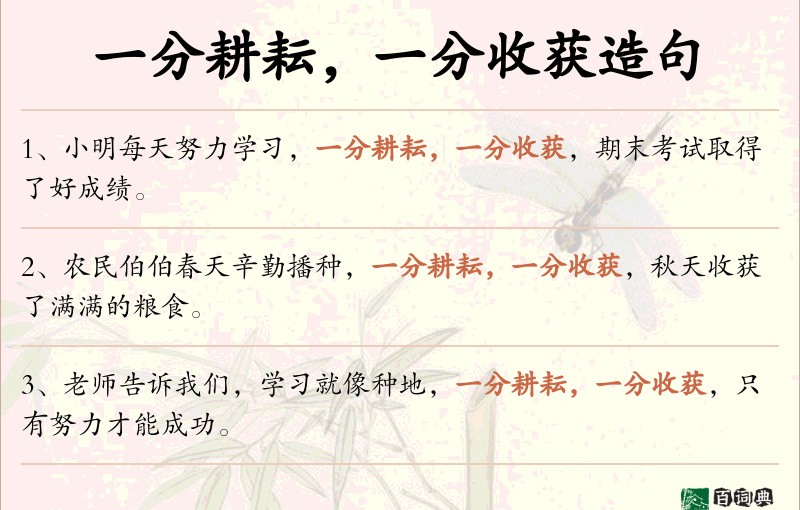 一分耕耘，一分收获