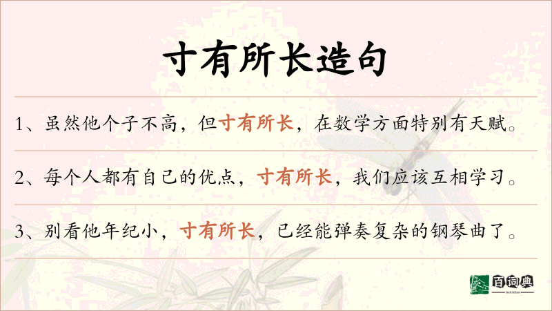 寸有所长
