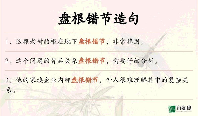 盘根错节