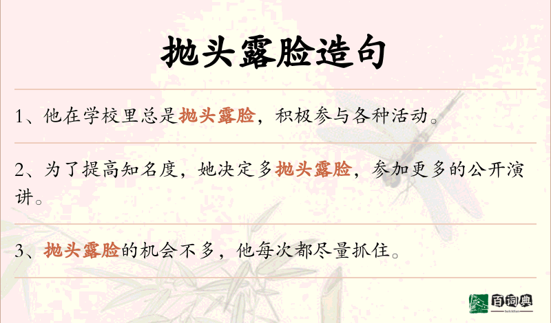 抛头露脸