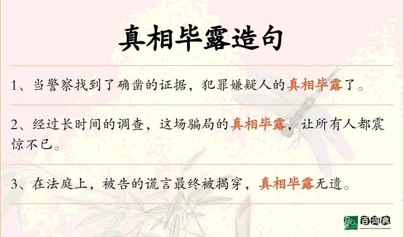 真相毕露