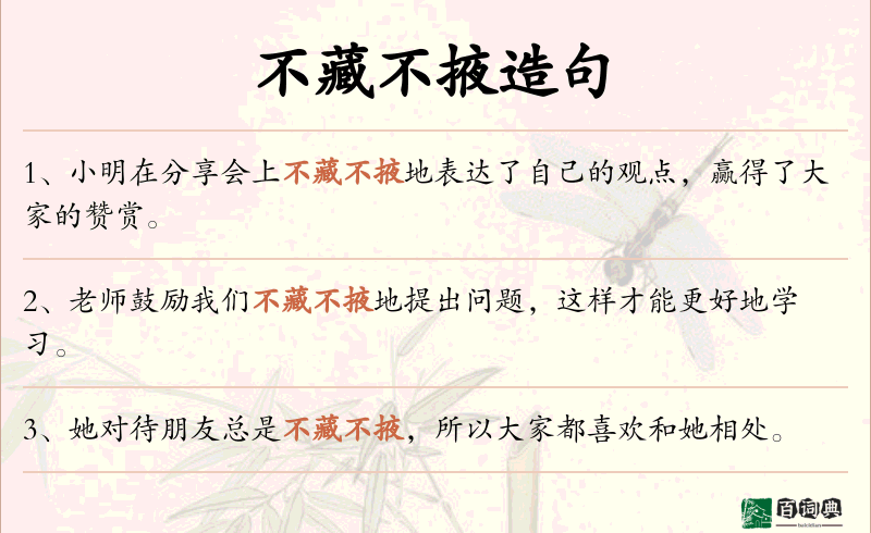 不藏不掖