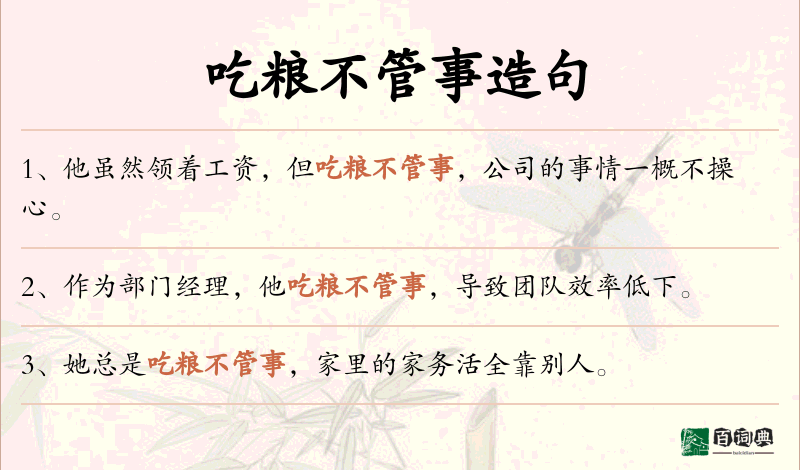 吃粮不管事