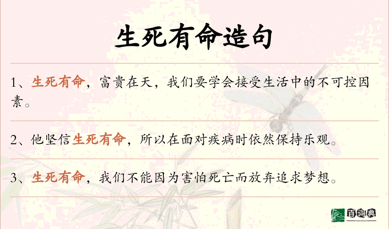 生死有命