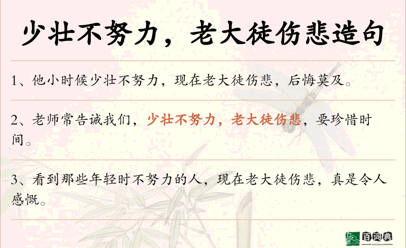 少壮不努力，老大徒伤悲