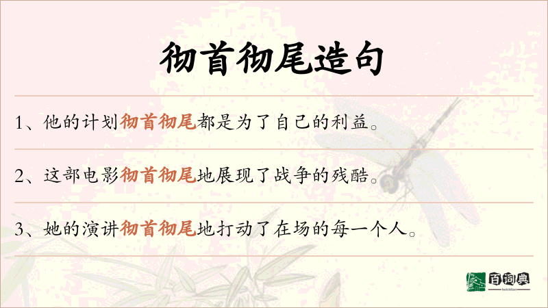彻首彻尾
