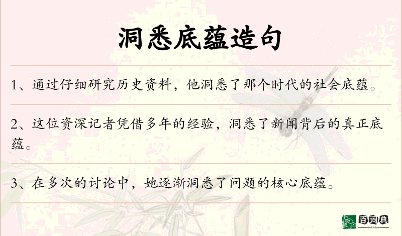洞悉底蕴