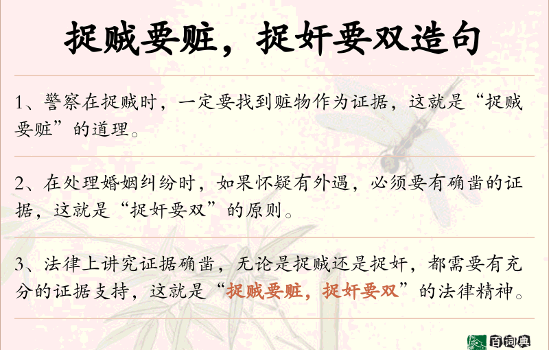 捉贼要赃，捉奸要双