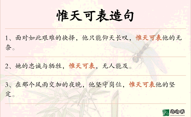 惟天可表