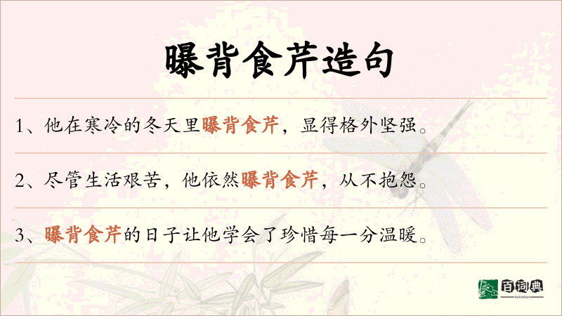 曝背食芹