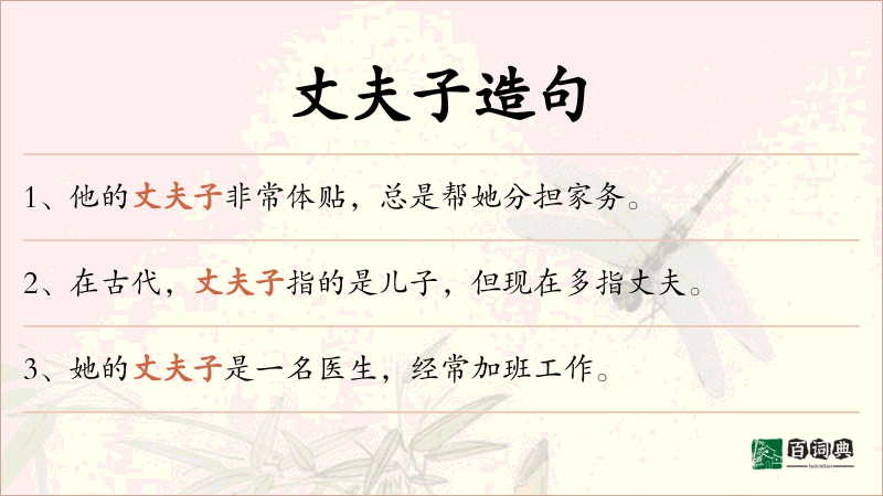 丈夫子