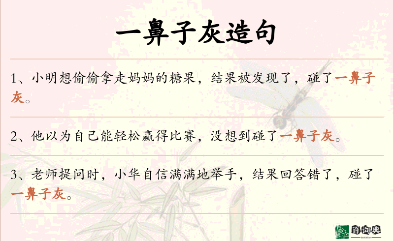 一鼻子灰