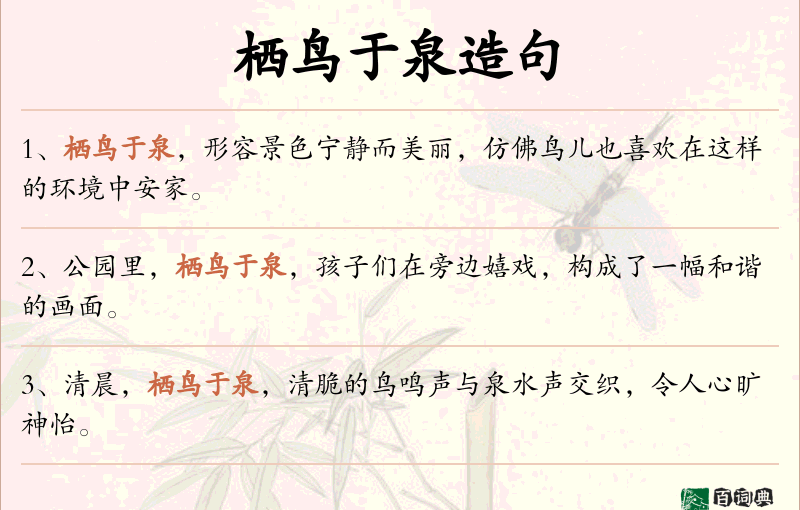 栖鸟于泉