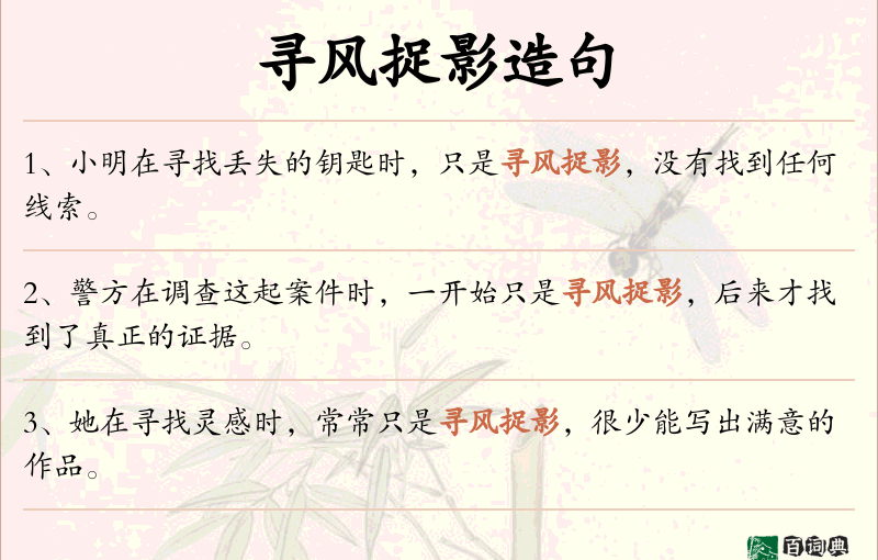 寻风捉影