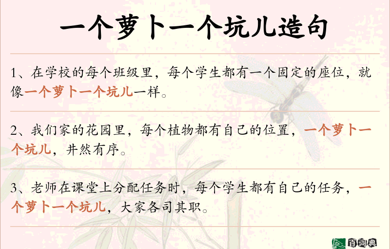 一个萝卜一个坑儿