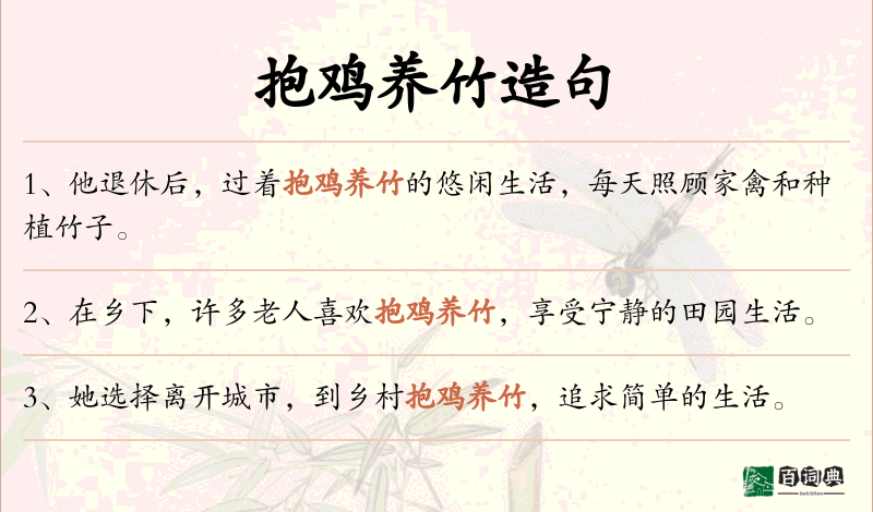 抱鸡养竹